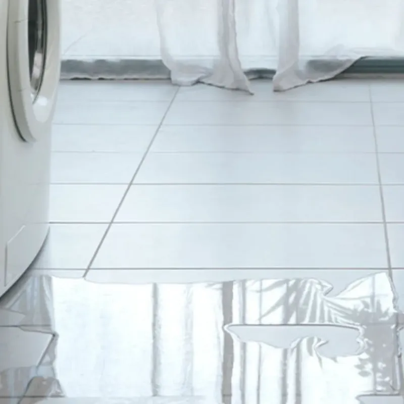 Appliance Leak Cleanup in Buffalo, IA