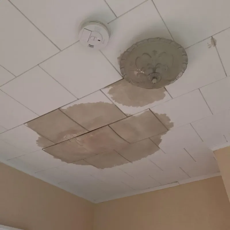 Ceiling Water Damage Repair in Buffalo, IA