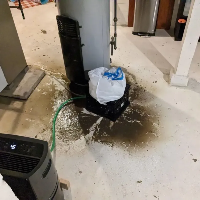 Sewage Backup Cleanup Service in Buffalo, IA